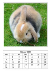 Oktober_Kaninchen_2.pdf